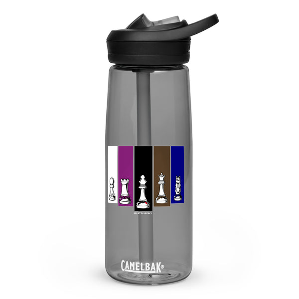 Brazilian Jiu Jitsu Human Chess 25 oz Water Bottle CamelBak Eddy+